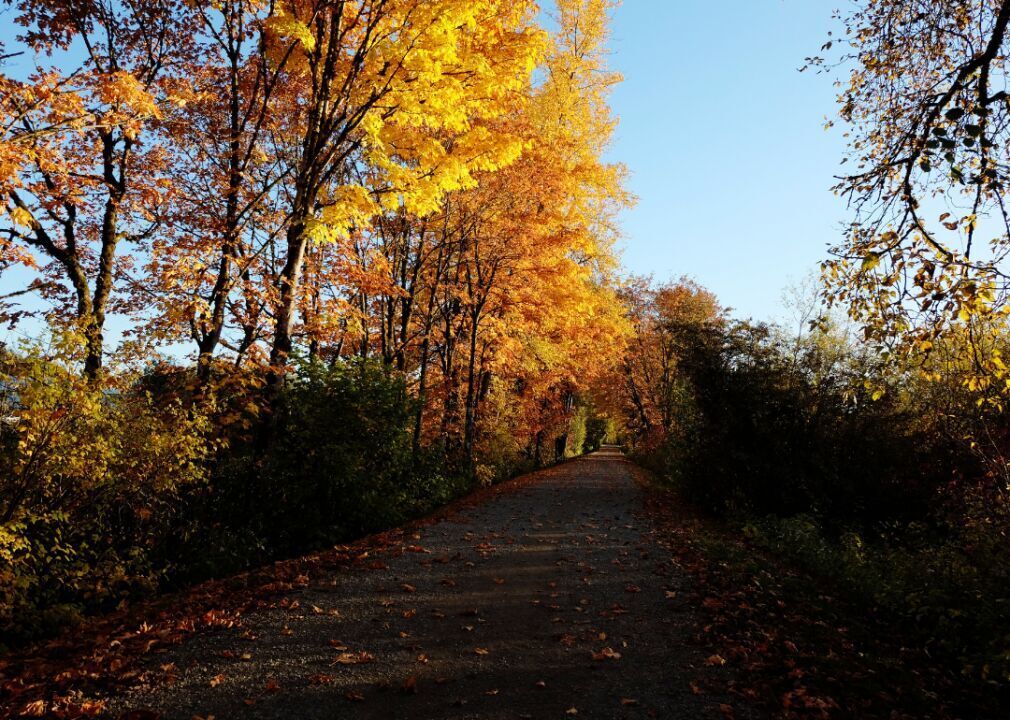 #96. Duvall, Washington